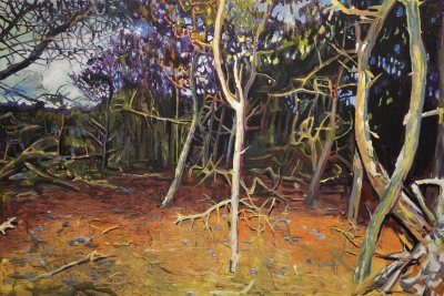 The dry forest ©Peter Weidenbaum